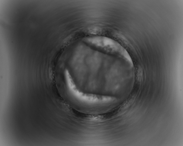 X0000094210569200711161831