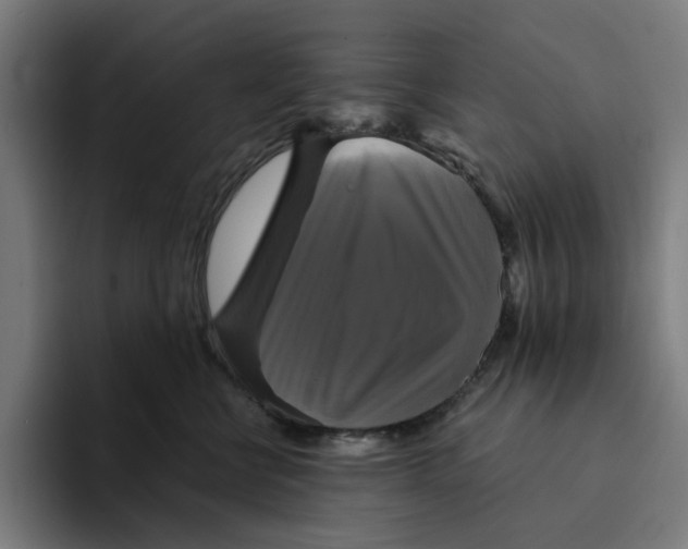 X0000094210570200711161831
