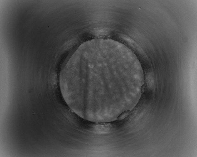 X0000094210571200711161831