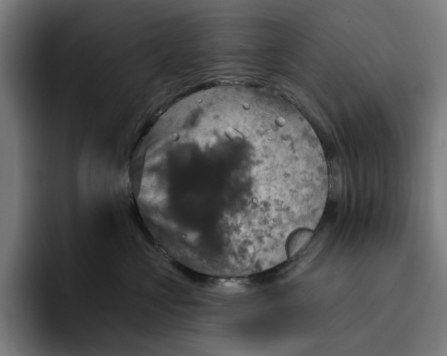 X0000094210573200711161831