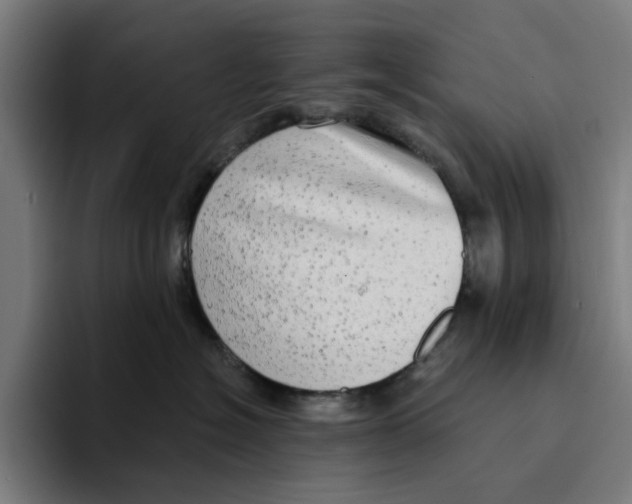 X0000094210574200711161831