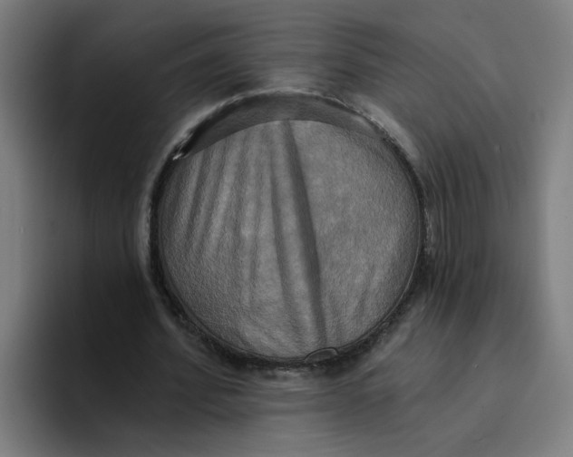 X0000094210580200711161830