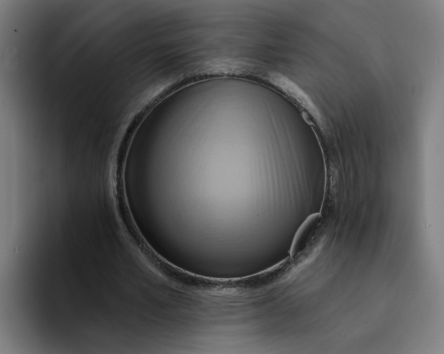 X0000094210581200711161830