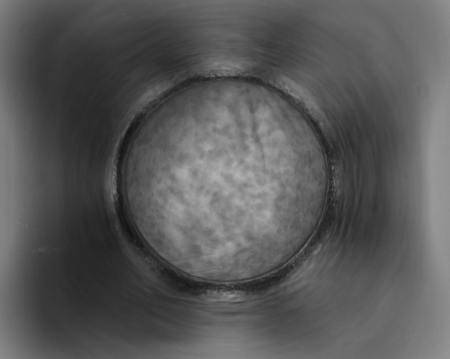 X0000094210582200711161830