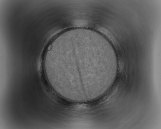 X0000094210583200711161830
