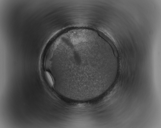 X0000094210584200711161830