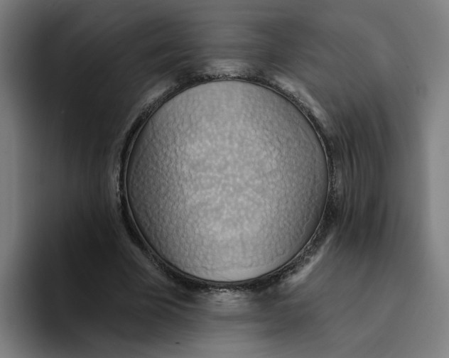 X0000094210585200711161830