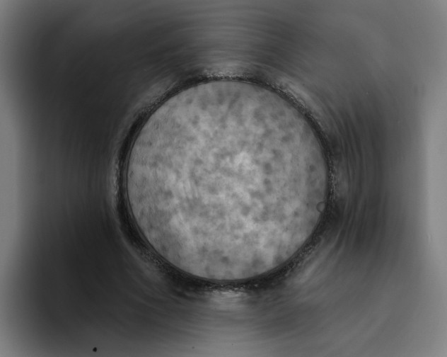 X0000094210586200711161830