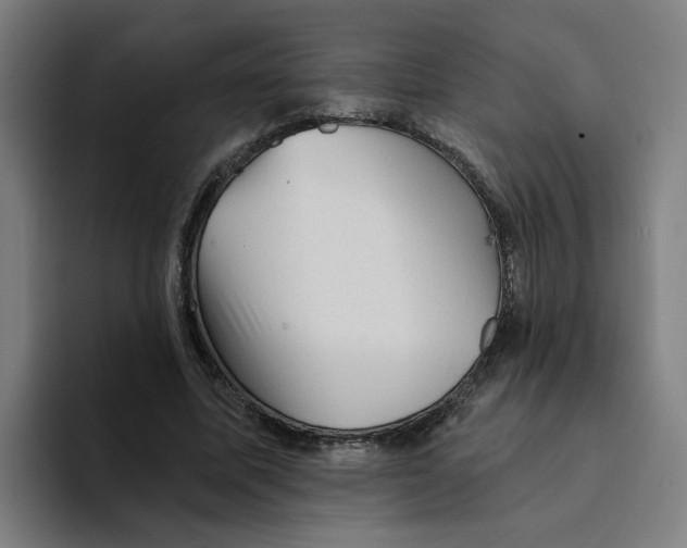 X0000094210587200711161830