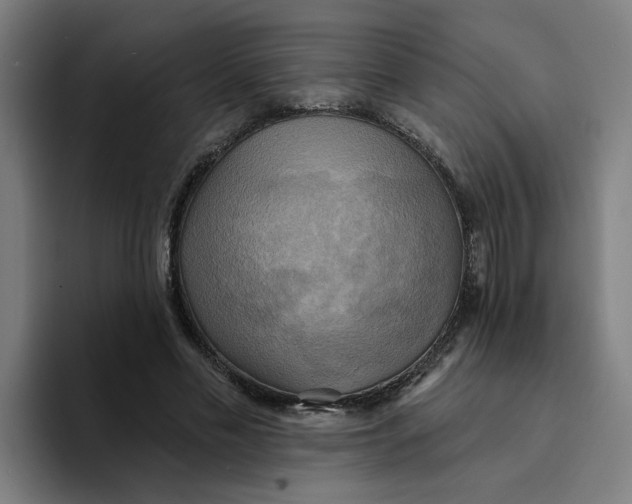 X0000094210589200711161830