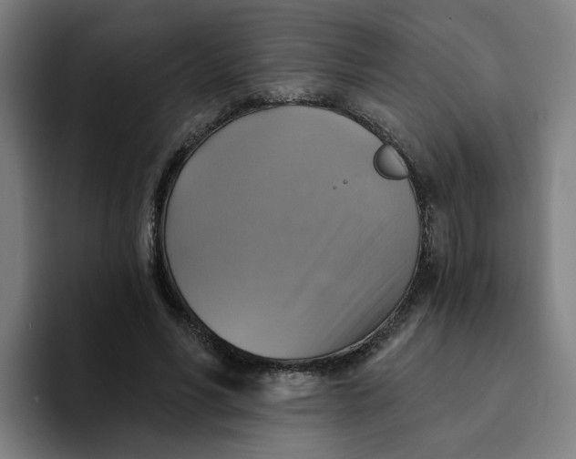 X0000094210590200711161830