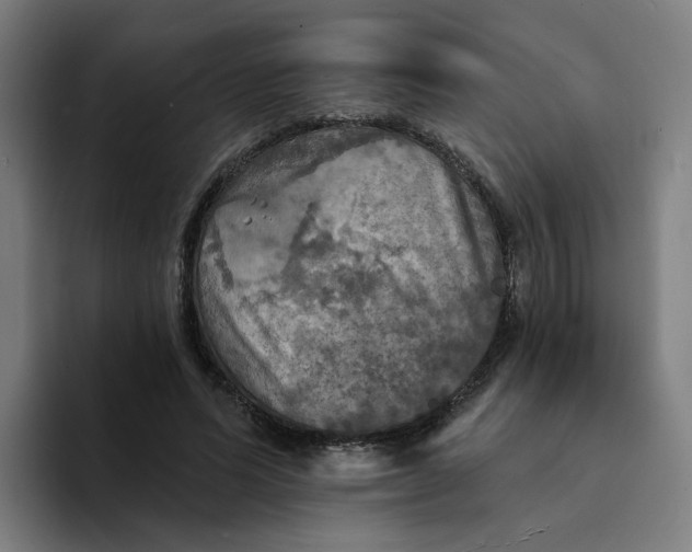 X0000094210591200711161830