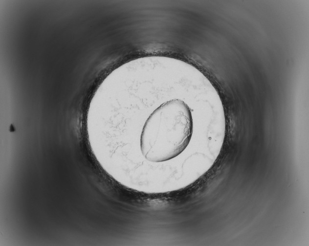 X0000094210592200711161830