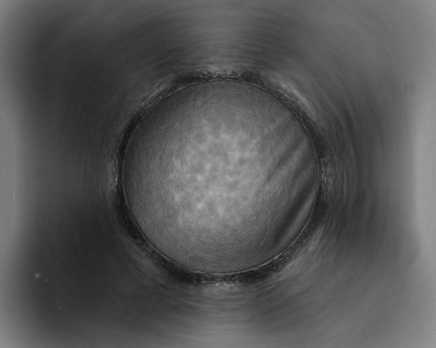X0000094210593200711161830