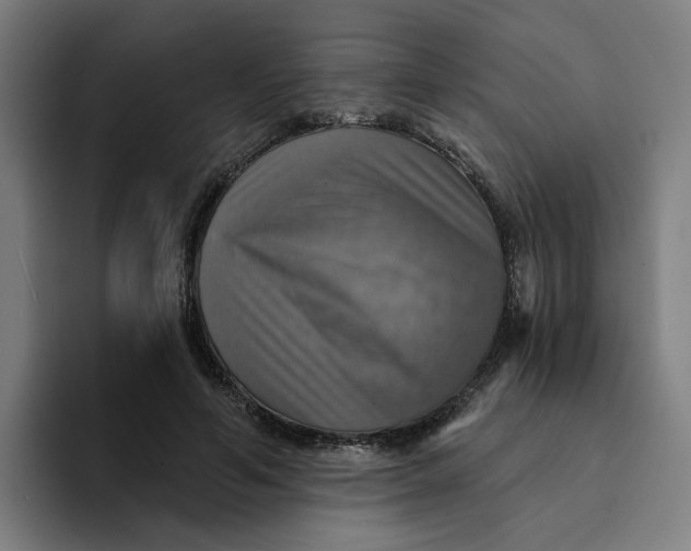 X0000094210594200711161830
