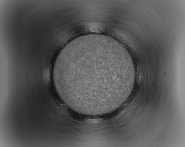 X0000094210595200711161830