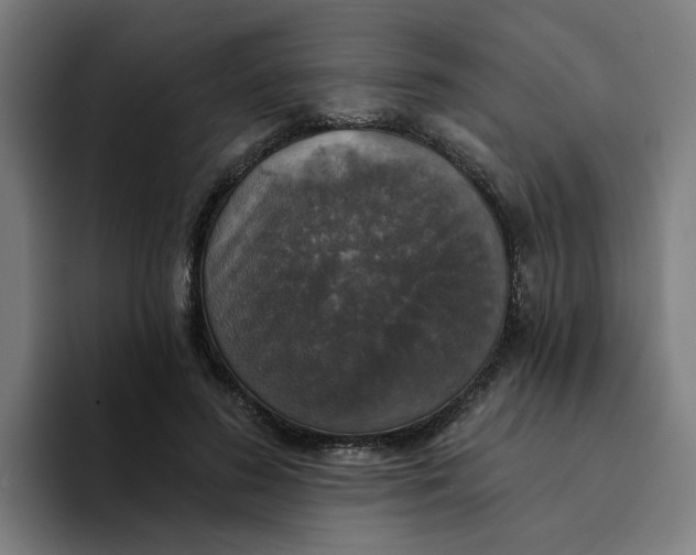 X0000094210596200711161830