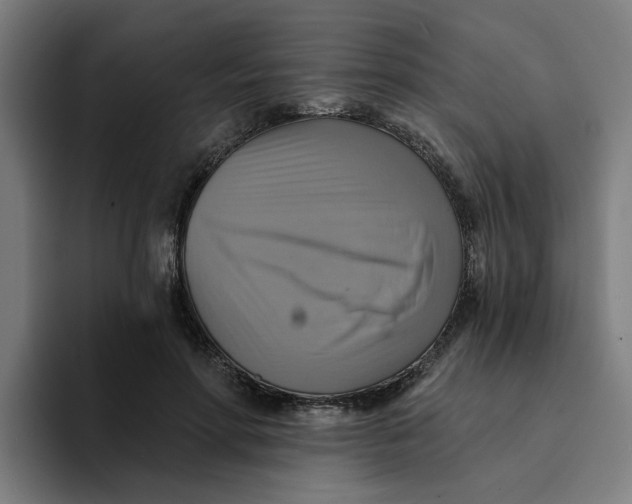 X0000094210598200711161830