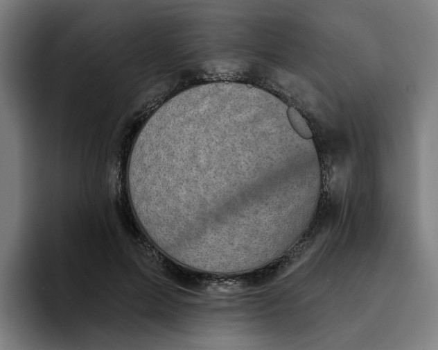 X0000094210599200711161830