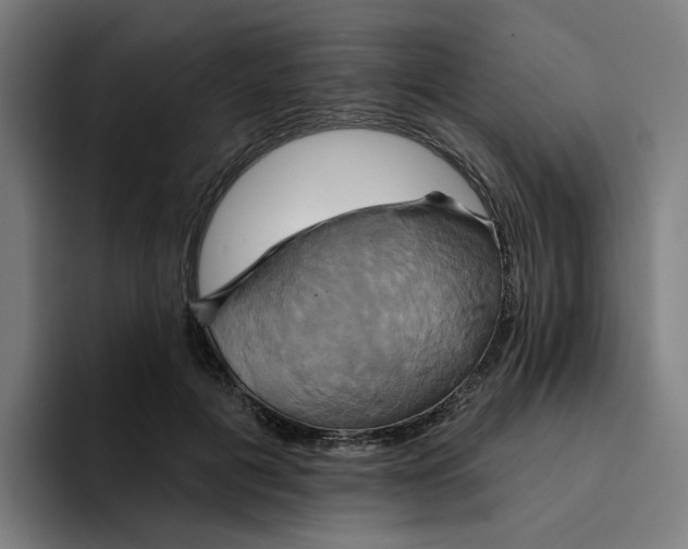 X0000094210601200711161830