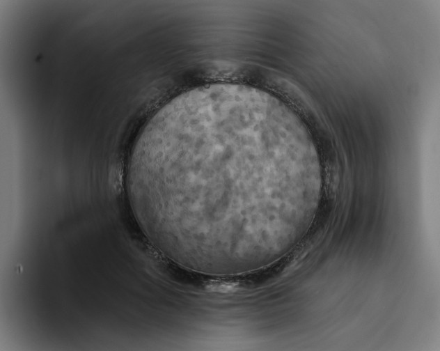 X0000094210602200711161830