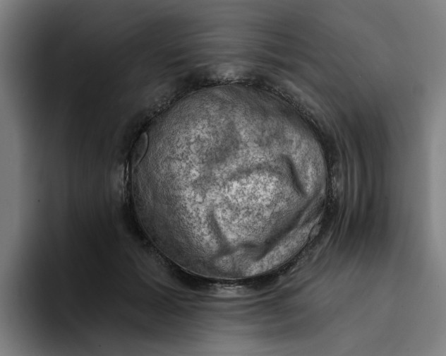 X0000094210605200711161830