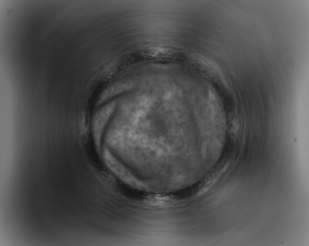 X0000094210607200711161830