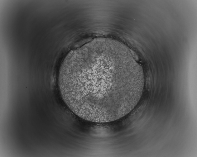 X0000094210608200711161830