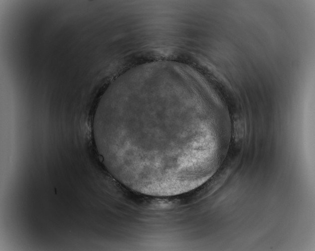 X0000094210613200711161830