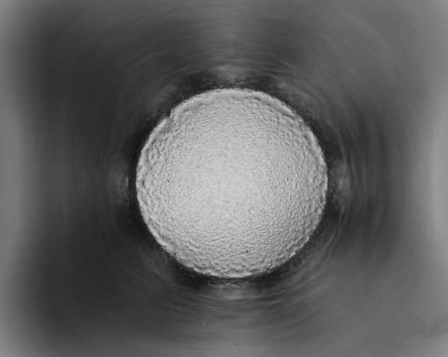 X0000094210615200711161830