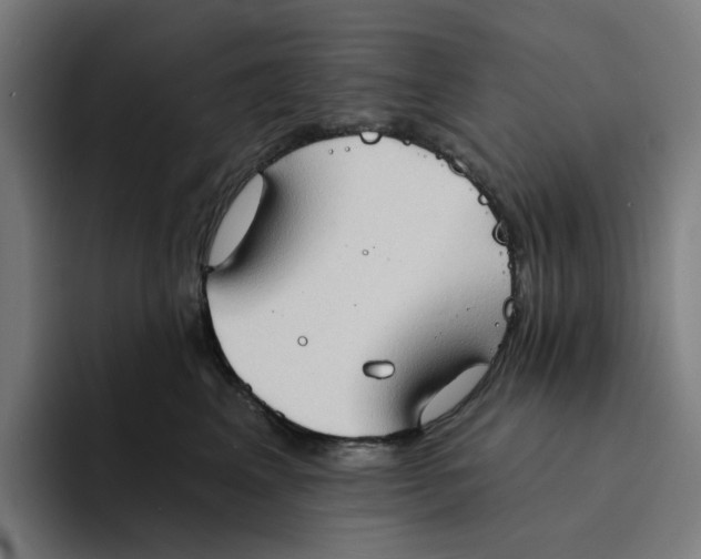 X0000094210617200711161830