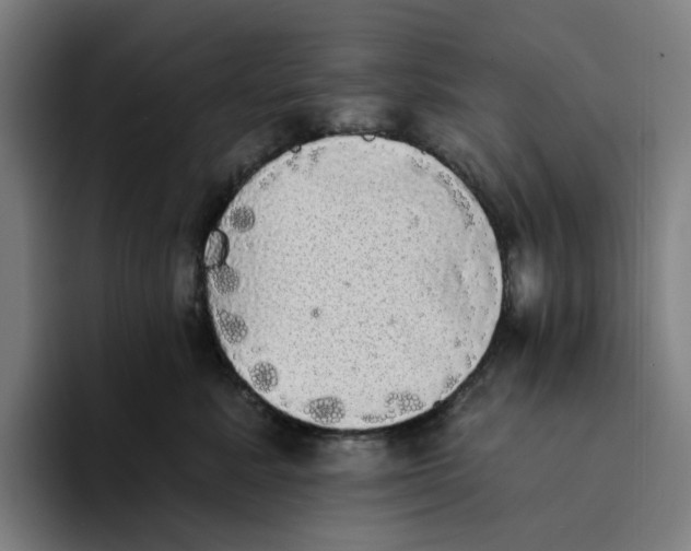 X0000094210619200711161830