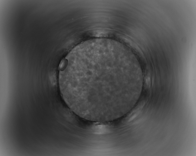 X0000094210620200711161830