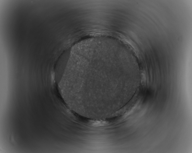 X0000094210621200711161830