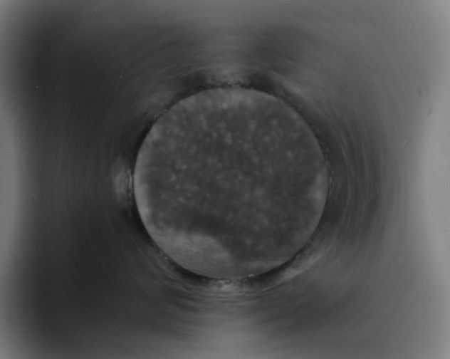 X0000094210624200711161830