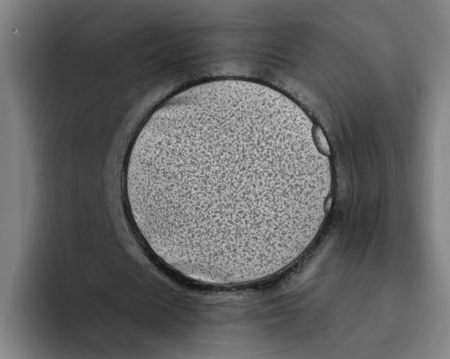 X0000094210625200711161829