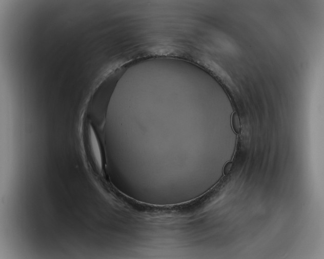 X0000094210626200711161829