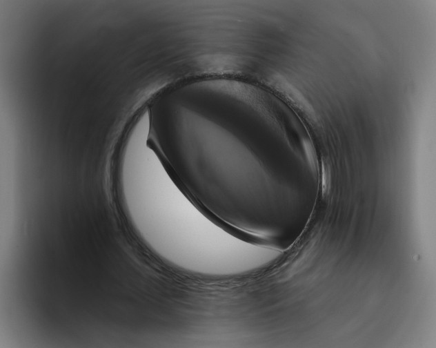 X0000094210627200711161829