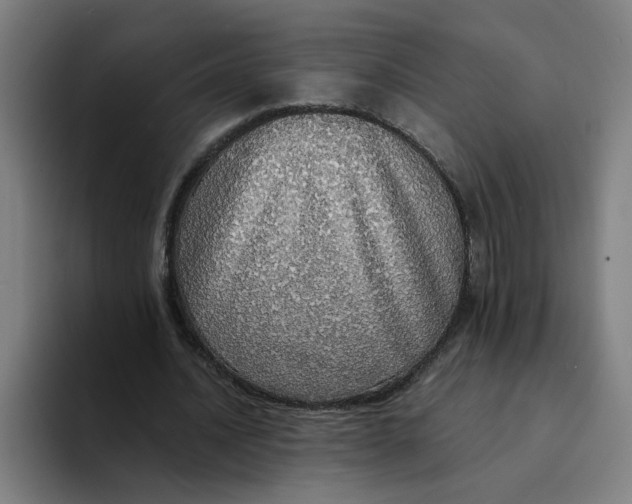 X0000094210628200711161829