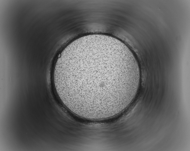 X0000094210629200711161829