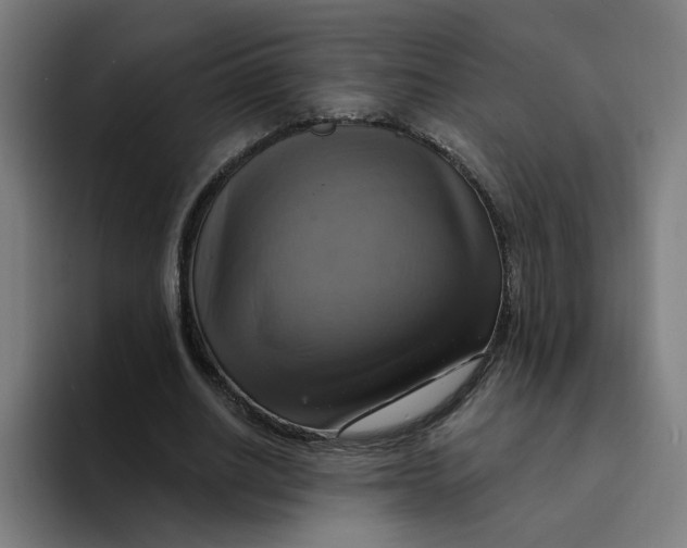 X0000094210630200711161829
