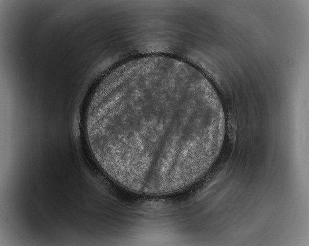 X0000094210631200711161829