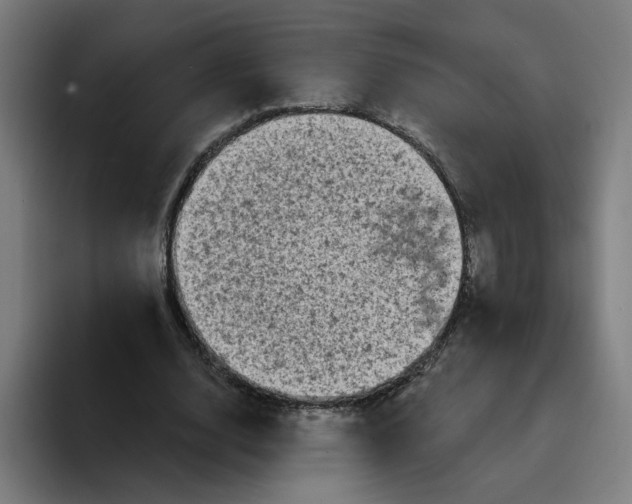 X0000094210632200711161829