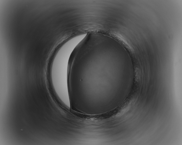 X0000094210634200711161829