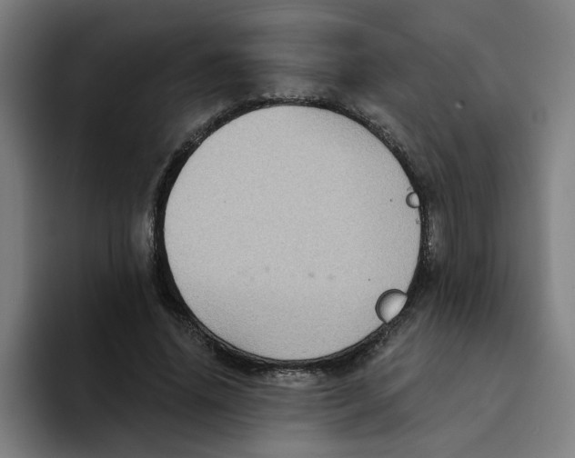 X0000094210636200711161829