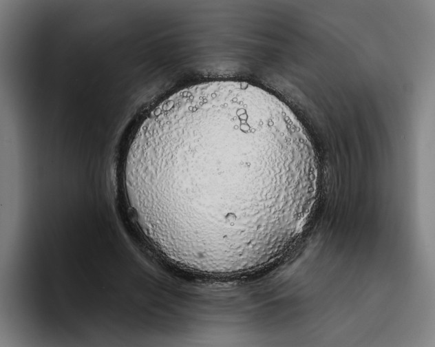X0000094210638200711161829