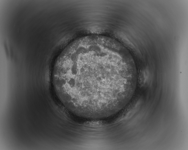 X0000094210639200711161829