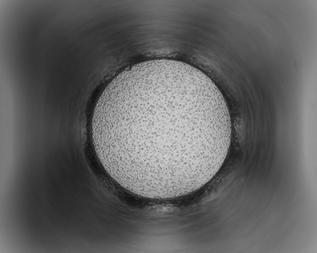 X0000094210642200711161829