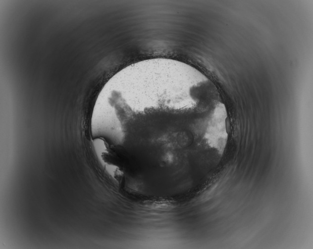X0000094210643200711161829