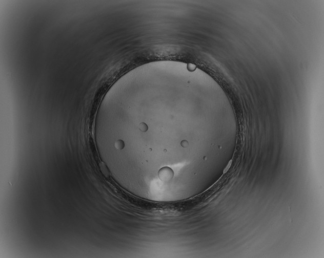 X0000094210644200711161829